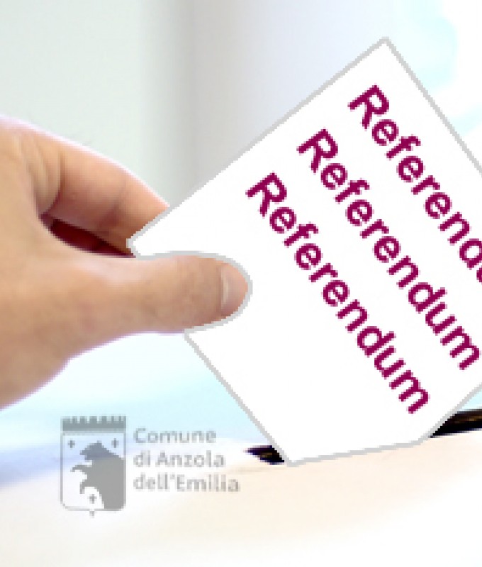 immagine referendum